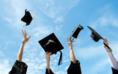 课程与服务 - 学历提升