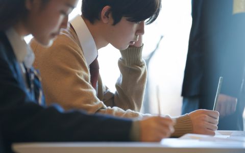 自学考试备考指南：提升成功率的实用技巧和策略